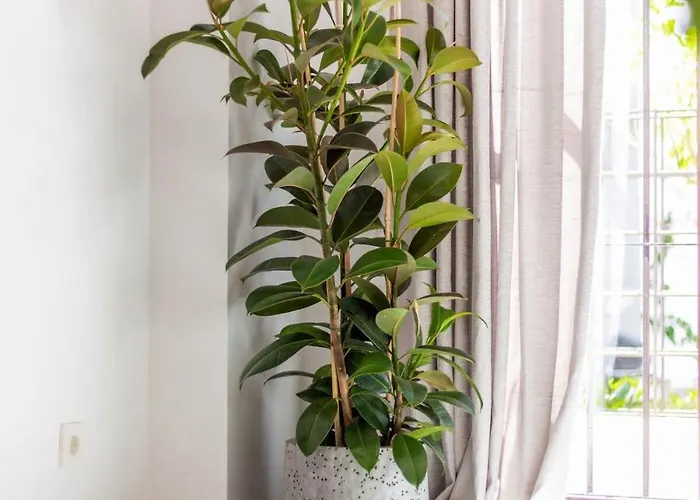 Maestranza Exclusive Townhouse Close To Puerto Banus With Bbq Pool 公寓 *